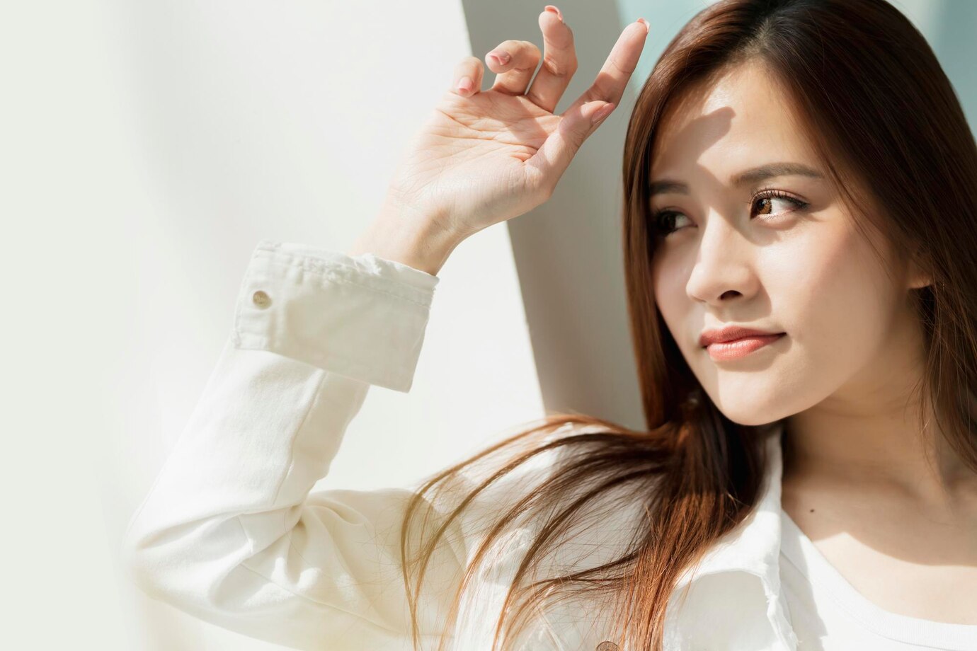 陳柏儒